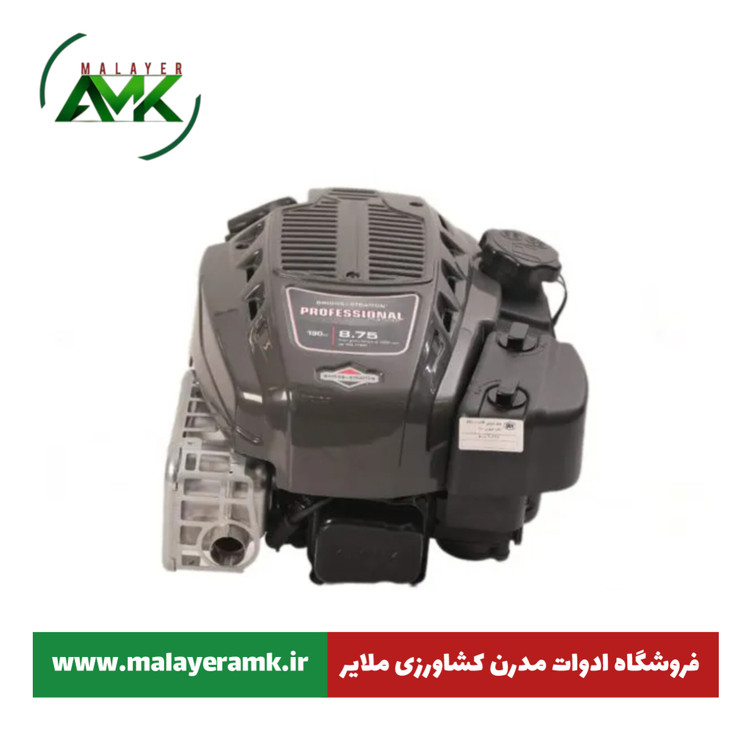 موتور بنزینی 8.75 B&S
